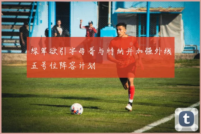 绿军欲引字母哥与特纳并加强外线五号位阵容计划