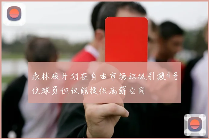 森林狼计划在自由市场积极引援4号位球员但仅能提供底薪合同
